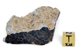 41.7g Howardite HED Achondrite I Amazing Meteorite from Vesta with fusion crust I NWA 18047