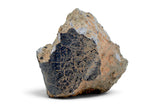 41.7g Howardite HED Achondrite I Amazing Meteorite from Vesta with fusion crust I NWA 18047