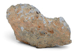 41.7g Howardite HED Achondrite I Amazing Meteorite from Vesta with fusion crust I NWA 18047