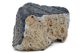 41.7g Howardite HED Achondrite I Amazing Meteorite from Vesta with fusion crust I NWA 18047