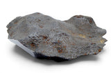 646.18g CANYON DIABLO meteorite - IAB Iron Meteorite