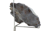 646.18g CANYON DIABLO meteorite - IAB Iron Meteorite