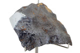 646.18g CANYON DIABLO meteorite - IAB Iron Meteorite