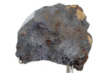 646.18g CANYON DIABLO meteorite - IAB Iron Meteorite