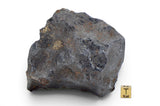 646.18g CANYON DIABLO meteorite - IAB Iron Meteorite