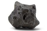2,201.3g Campo Del Cielo Iron Meteorite