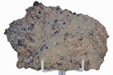 3.465g NEA 089 Lunar Meteorite slice