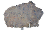 3.465g NEA 089 Lunar Meteorite slice