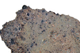 3.465g NEA 089 Lunar Meteorite slice
