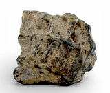 3.46g TOUAT 005 Lunar Breccia Meteorite