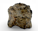 3.46g TOUAT 005 Lunar Breccia Meteorite