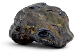 2.47g GRIZIM 003 Pallasite Meteorite