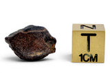 2.93g GRIZIM 003 Pallasite Meteorite