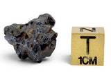 4.84g GRIZIM 003 Pallasite Meteorite