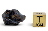 4.84g GRIZIM 003 Pallasite Meteorite