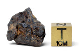 5.92g GRIZIM 003 Pallasite Meteorite
