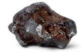 15.65g SERICHO Pallasite Meteorite