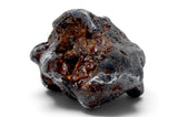 15.65g SERICHO Pallasite Meteorite