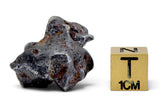 15.65g SERICHO Pallasite Meteorite