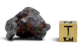 15.65g SERICHO Pallasite Meteorite