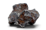 15.65g SERICHO Pallasite Meteorite