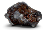15.65g SERICHO Pallasite Meteorite