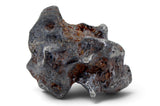 15.65g SERICHO Pallasite Meteorite