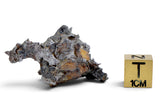 24.38g SERICHO Pallasite Meteorite