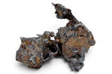 24.38g SERICHO Pallasite Meteorite