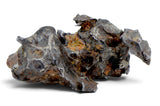 24.38g SERICHO Pallasite Meteorite