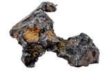 24.38g SERICHO Pallasite Meteorite