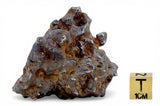 81.20g Amazing Complete SERICHO Pallasite Meteorite