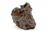 81.20g Amazing Complete SERICHO Pallasite Meteorite
