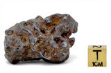 81.20g Amazing Complete SERICHO Pallasite Meteorite