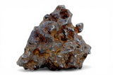 81.20g Amazing Complete SERICHO Pallasite Meteorite