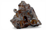 81.20g Amazing Complete SERICHO Pallasite Meteorite