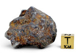 52.37g SERICHO Pallasite Meteorite