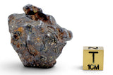 52.37g SERICHO Pallasite Meteorite