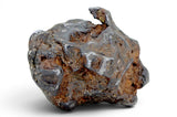 52.37g SERICHO Pallasite Meteorite