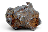52.37g SERICHO Pallasite Meteorite