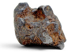 52.37g SERICHO Pallasite Meteorite