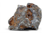 52.37g SERICHO Pallasite Meteorite