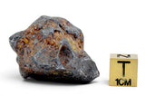 52.99g Amazing SERICHO Pallasite Meteorite