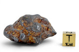 52.99g Amazing SERICHO Pallasite Meteorite