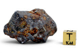 52.99g Amazing SERICHO Pallasite Meteorite