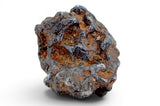 58.20g Amazing SERICHO Pallasite Meteorite