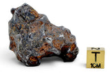 58.20g Amazing SERICHO Pallasite Meteorite