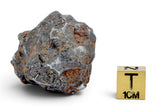 58.20g Amazing SERICHO Pallasite Meteorite