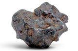 61.21g SERICHO Pallasite Meteorite