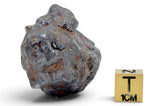 61.21g SERICHO Pallasite Meteorite